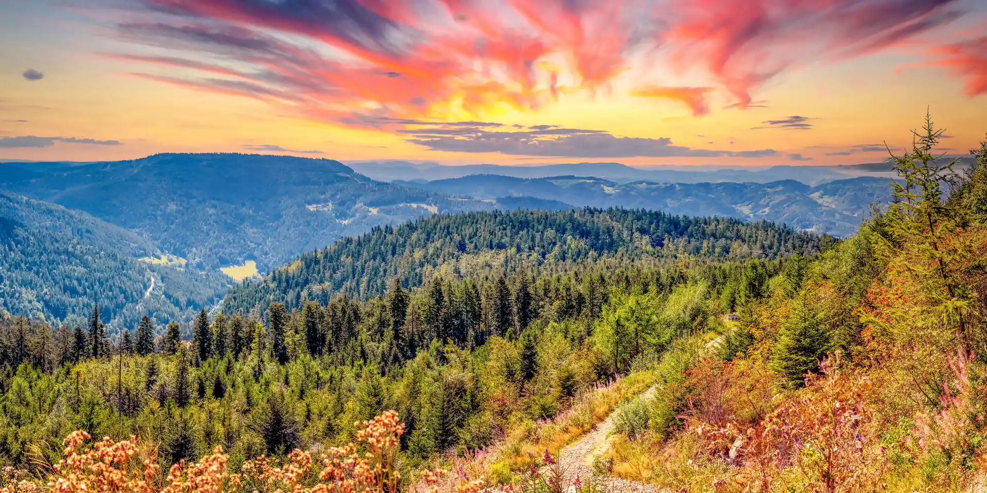 Schwarzwald