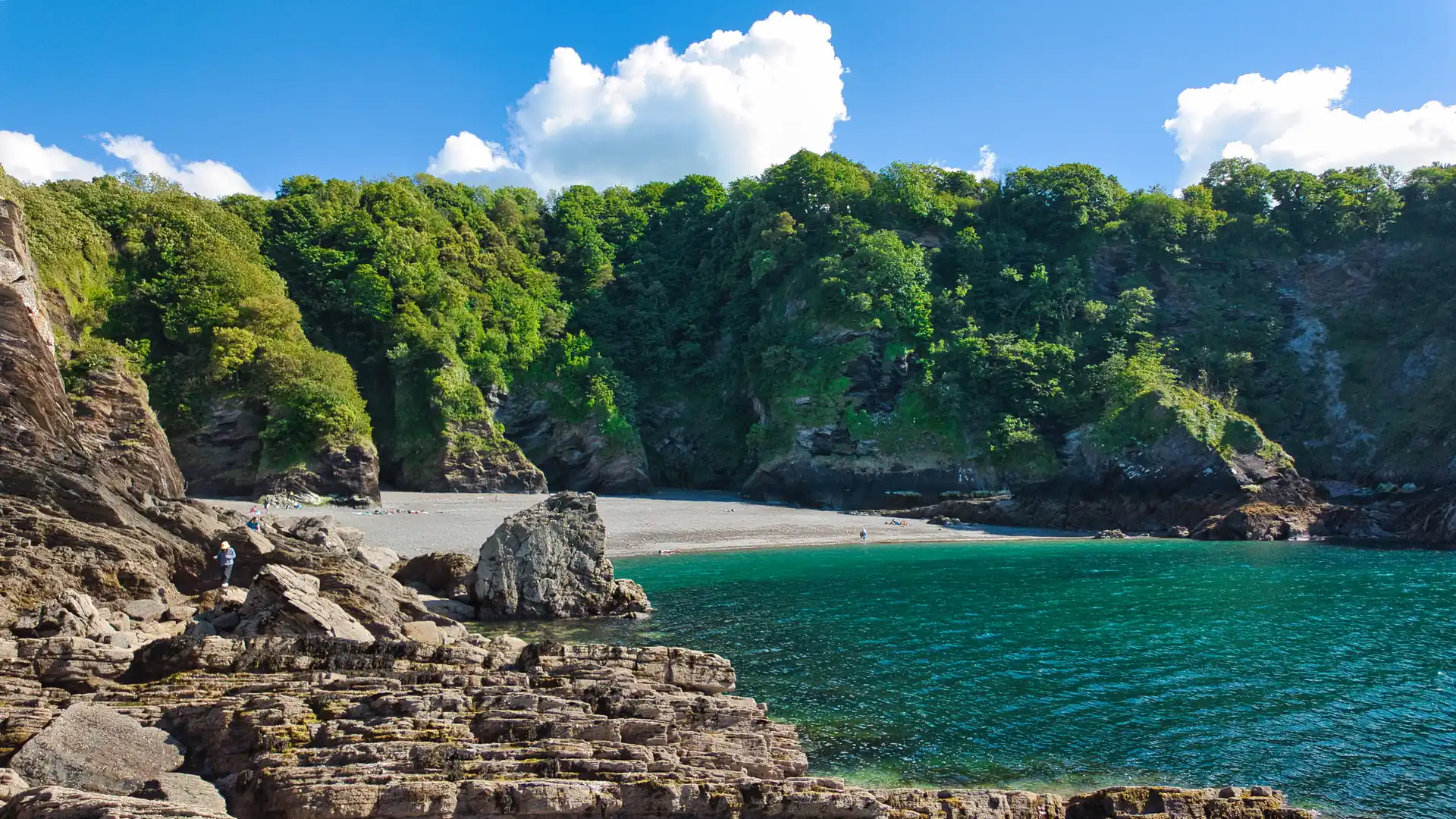 Devon