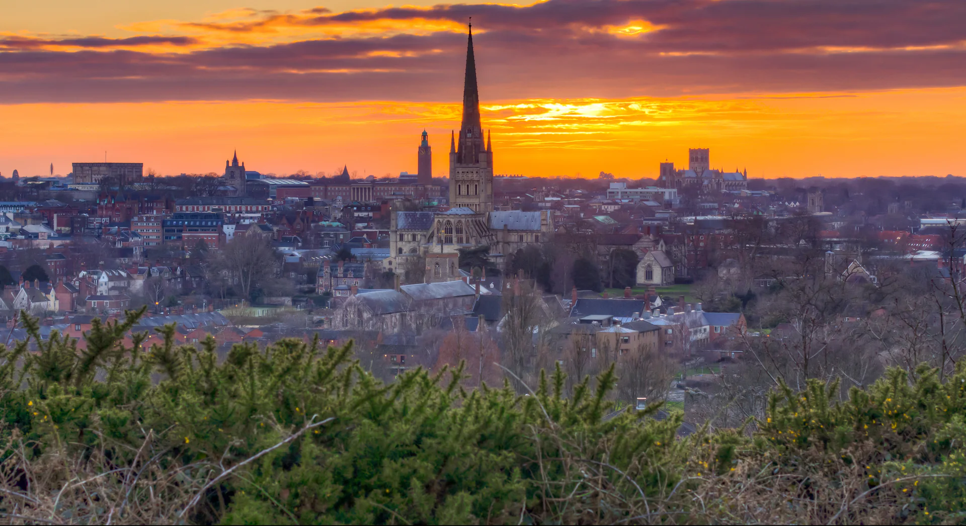 Norwich